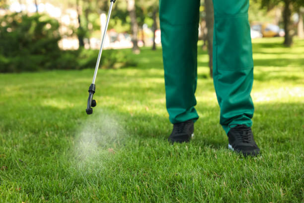 Best Wildlife Control Services  in Dover, NH