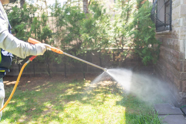 Best Wasp Removal Services  in Dover, NH