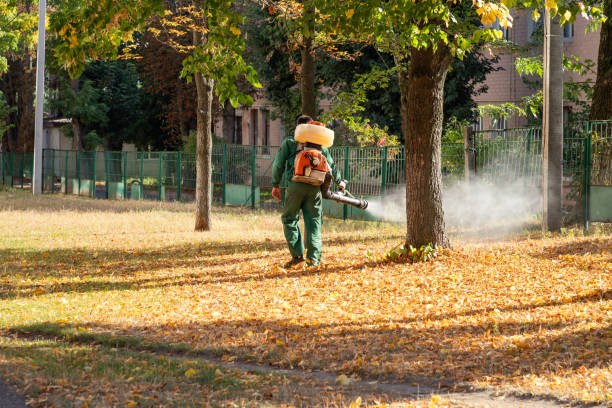 Best Best Pest Control Companies  in Dover, NH