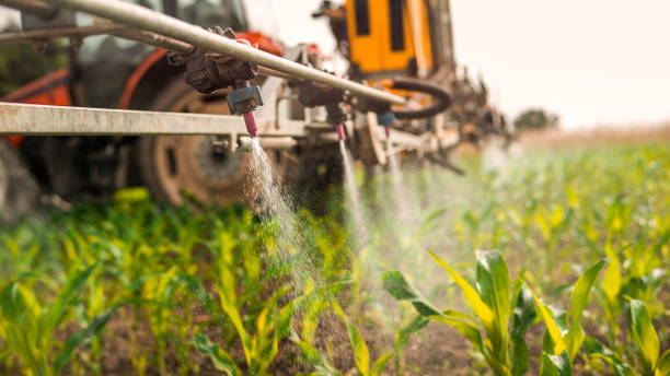 Best Pest Control Treatment  in Dover, NH